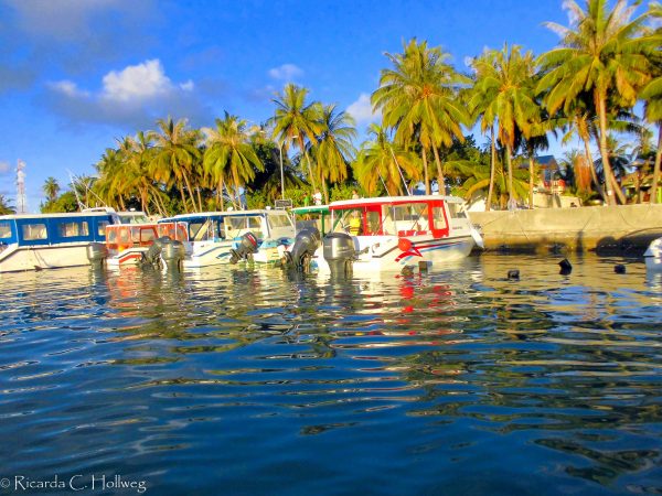 Boote auf Maafushi