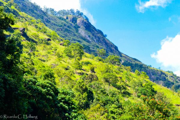 Berg Sri Lanka