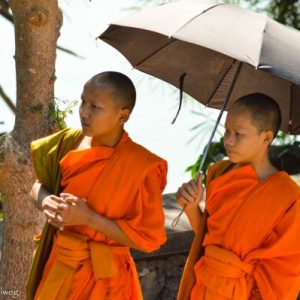 Mönche unter einem Sonnenschirm