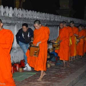Vielzahl von Mönchen in Luang Prabang