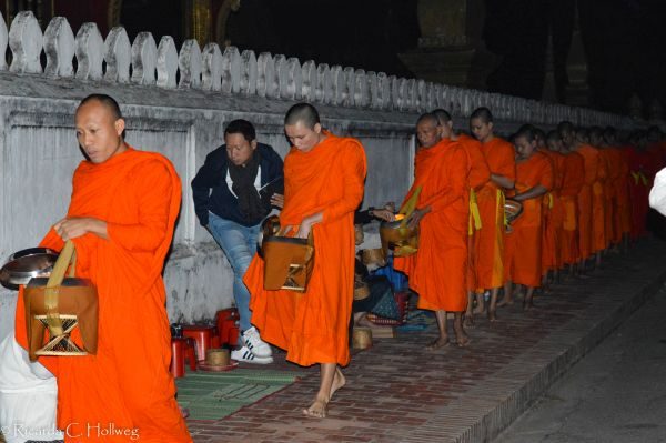 Vielzahl von Mönchen in Luang Prabang