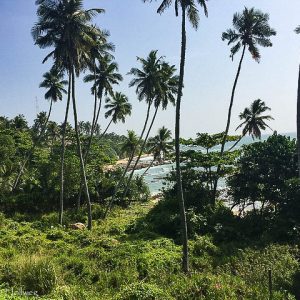 Wilder Strand in Tangalle