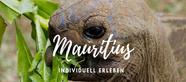 Titelbild Mauritius Individualreise