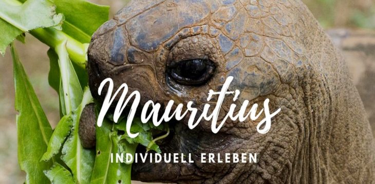 Mauritius als Individualreise erleben