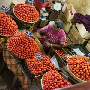 Tomaten auf dem Zentralmarkt Port Louis Mauritius