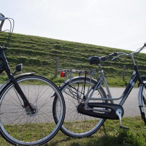 Fahrräder auf Texel