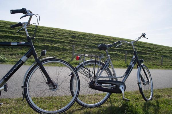 Fahrräder auf Texel