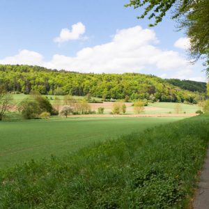 Wandern und Spazierengehen bei Tüchersfeld