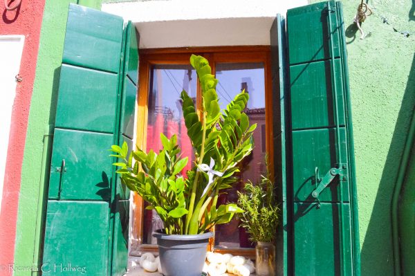 Green shutter in Burano