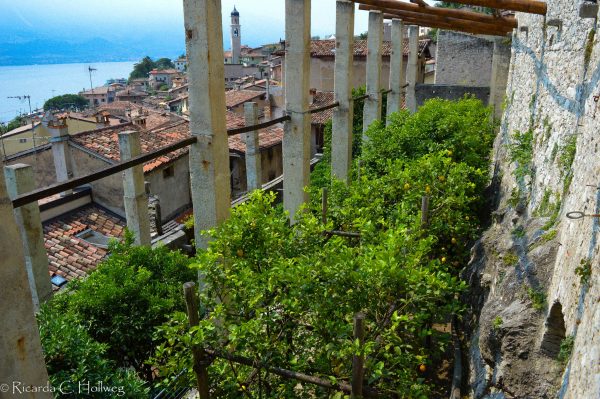 Dramatic location in Limone sul Garda