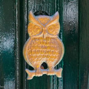 owl doorknob in Valletta
