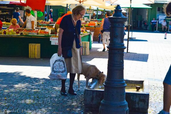 Dog drinking at the Viktualienmarkt