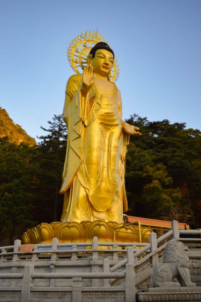 Buddha of a temple