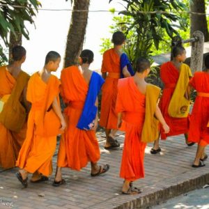 Walking monchs