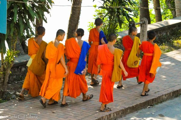 Walking monchs