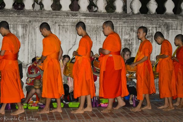 Collecting Alms in Luang Prabang