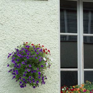 Window in Stein am Rhein