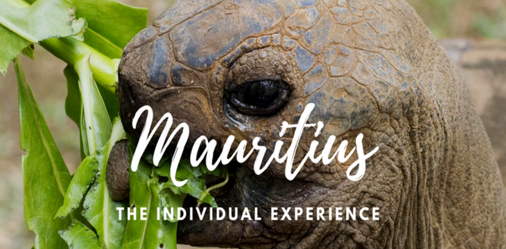 Mauritius as an Individual Travel Destination