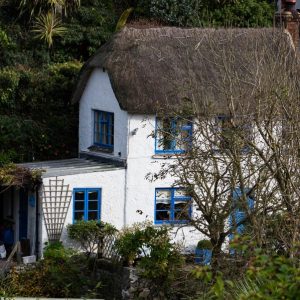 Thatched roof cottage with blue windows