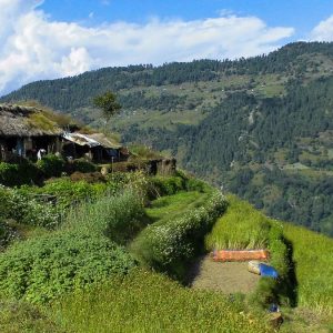 Terraced fields in Nepal