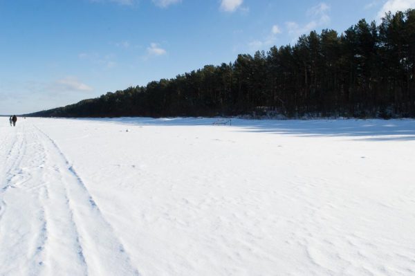 Latvia landscape