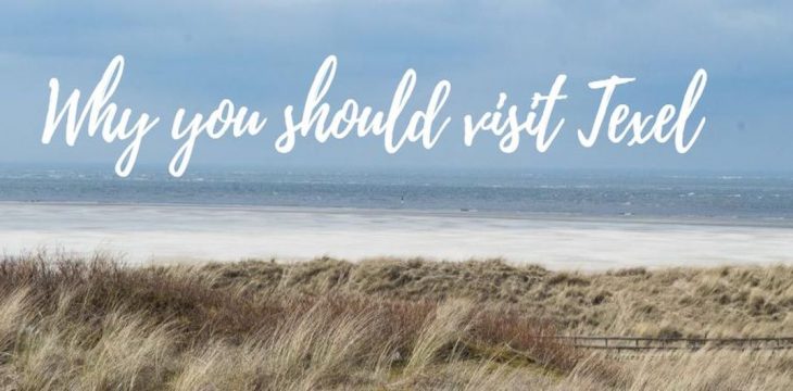Dutch North Sea: Why you should visit Texel