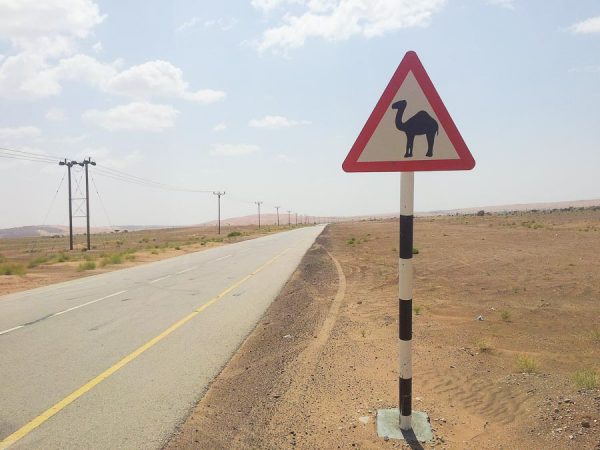 Sign with camel in Oman