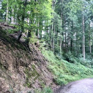 circular walk at Taubenberg mountain