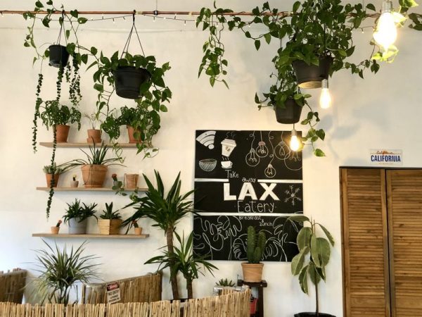 Plants at LAX eatery Munich