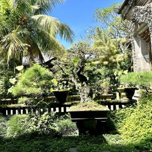 beautiful garden at Zest Ubud