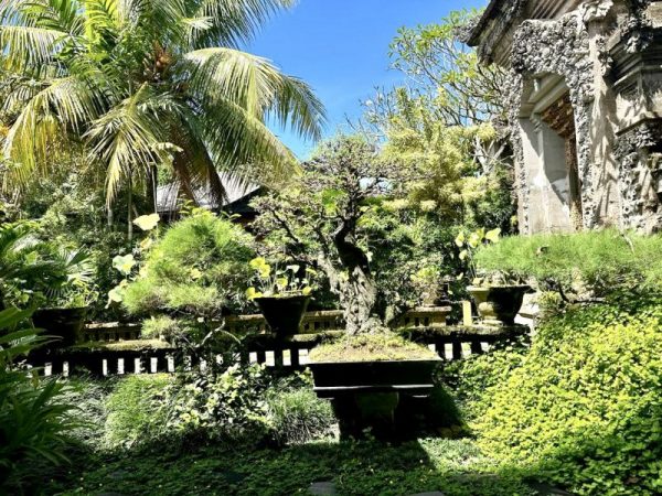 beautiful garden at Zest Ubud