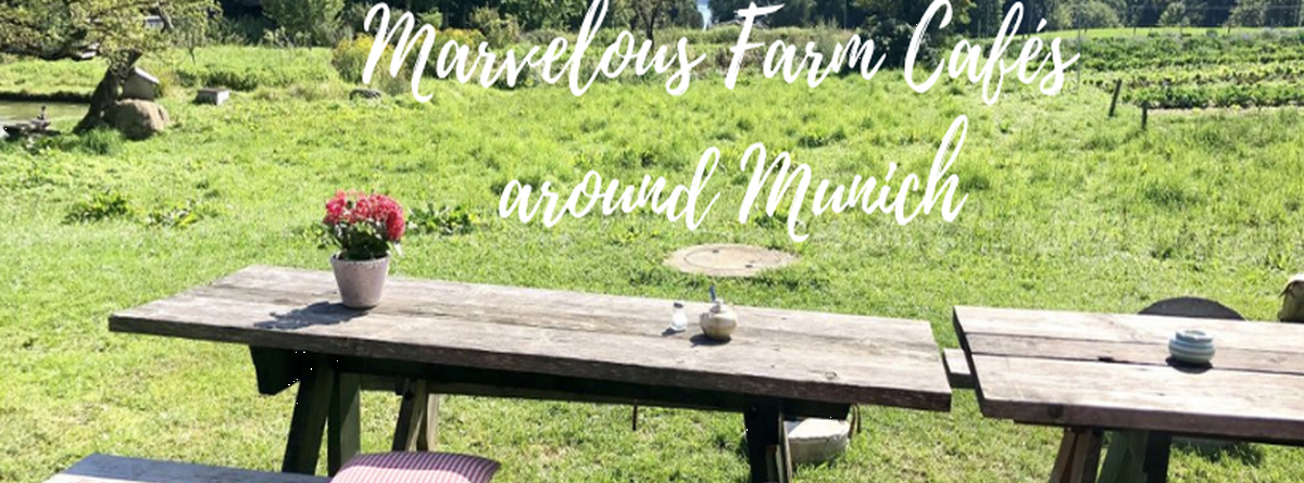 The most beautiful farm cafés around Munich